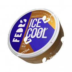 FEDRS - ICE COOL 5 - MINT (30mg)